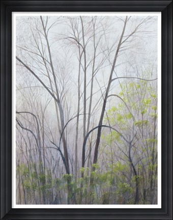 Framed Early Spring Print