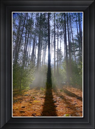 Framed Cooper Lake Vision Print