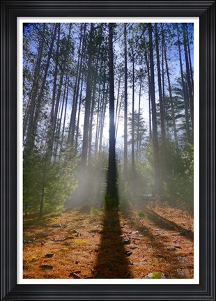 Framed Cooper Lake Vision Print