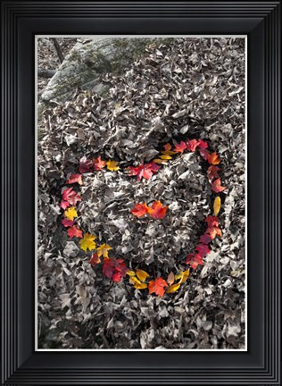 Framed Love in the Leaves Print