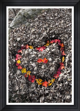 Framed Love in the Leaves Print