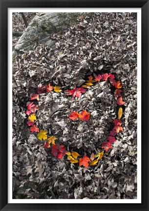Framed Love in the Leaves Print