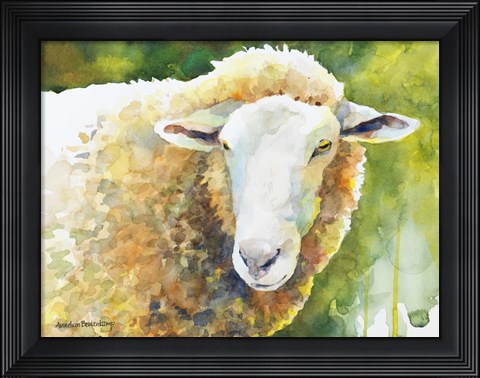 Framed Sheep IV Print