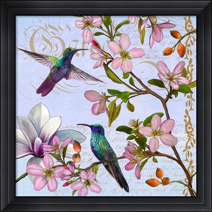 Framed Hummingbird Botanical Print