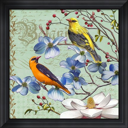 Framed Oriole Bird Botanical Print
