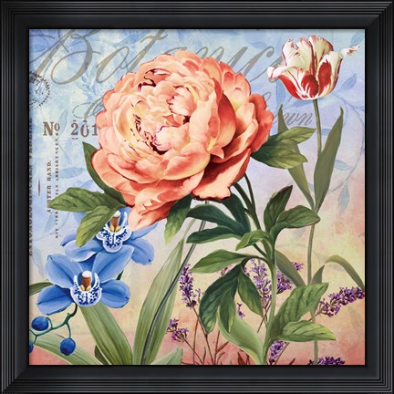 Framed Botanique with Peony Print
