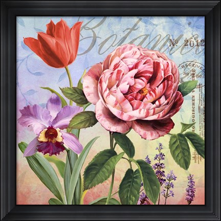 Framed Botanique with Rose Print