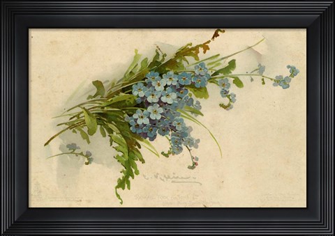 Framed Forget-Me-Not Print