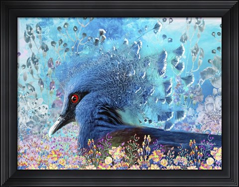 Framed Colorful Bird Print
