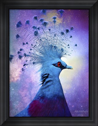 Framed Beautiful Bird Print