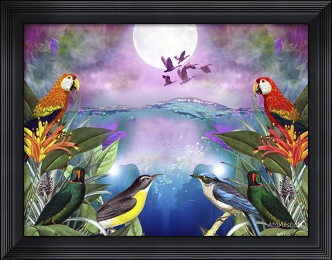 Framed Bird Kingdom Print