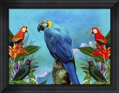 Framed Bird Kingdom 4 Print
