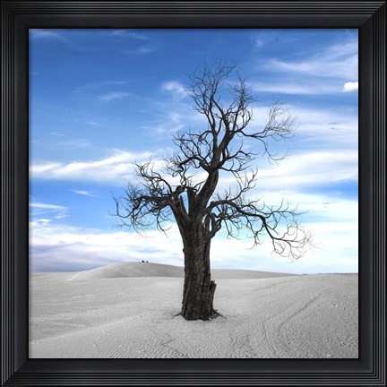 Framed Dead Tree Print
