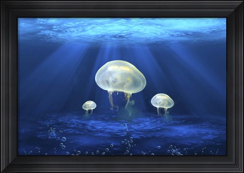 Framed Jelly Fish 2 Print