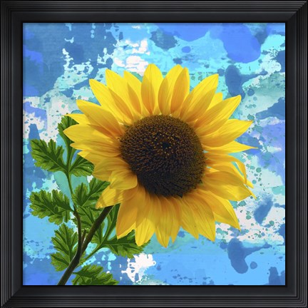 Framed Sunflower 1 Print