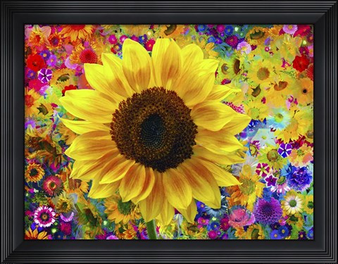 Framed Sunflower 2 Print