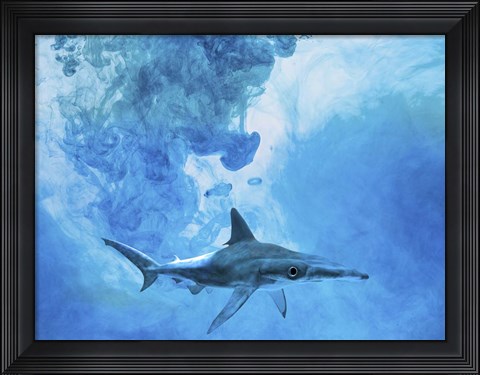 Framed Sea Life 1 Print