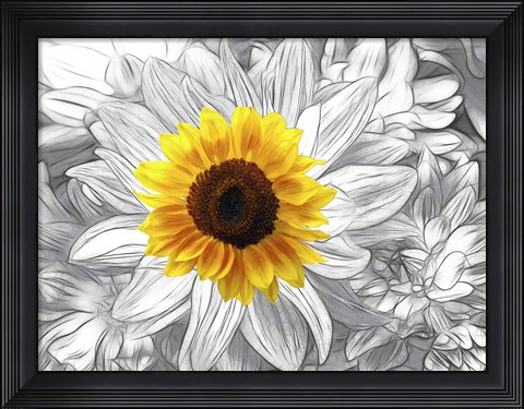 Framed Stars 3 Print