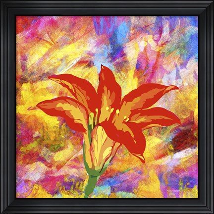Framed Emotional Journy 38 Print