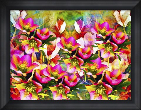 Framed Nature And Colors 2 Print