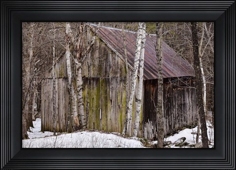 Framed Sharon Barn Print