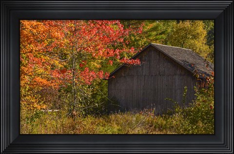 Framed Taste of Vermont Print