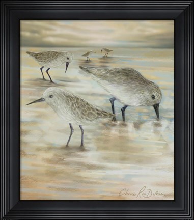 Framed Sandpipers Print