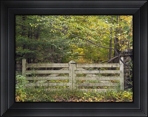 Framed Gate And Country Path Print