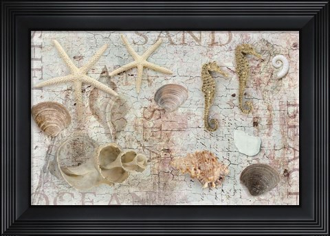 Framed Beach Finds Print