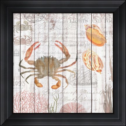 Framed Crabs on Driftwood Panel Print