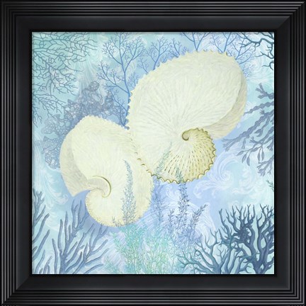 Framed Marine Love Paper Shells Print