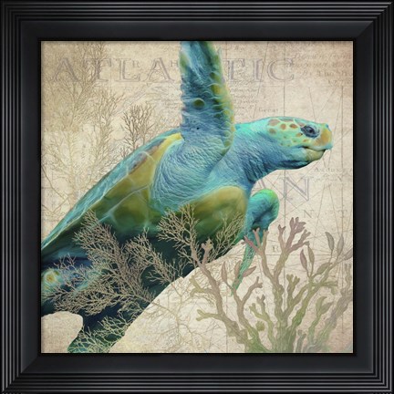 Framed Sea Turtle Atlantic Print