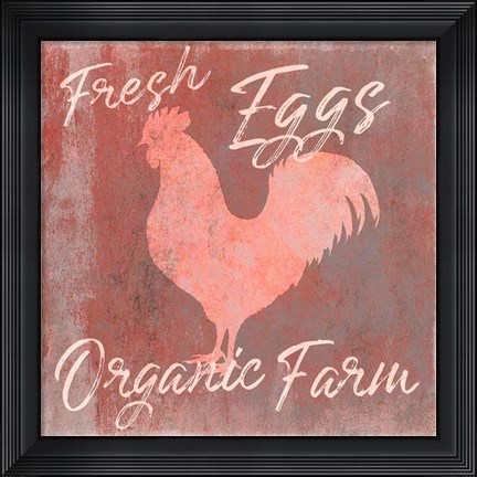Framed Organic Farm Rooster Print
