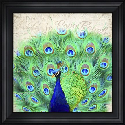 Framed Royal Peacock Print