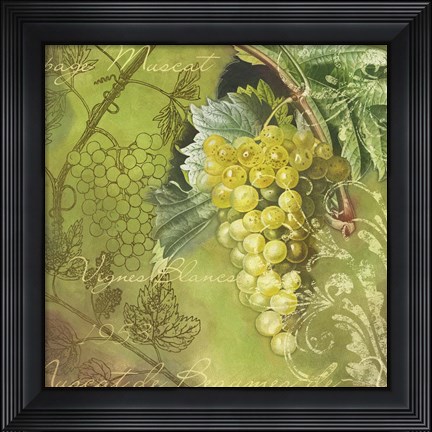 Framed White Vines Muscat Print