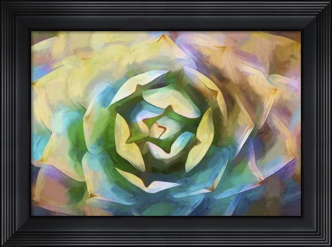 Framed Agave Forms I Print