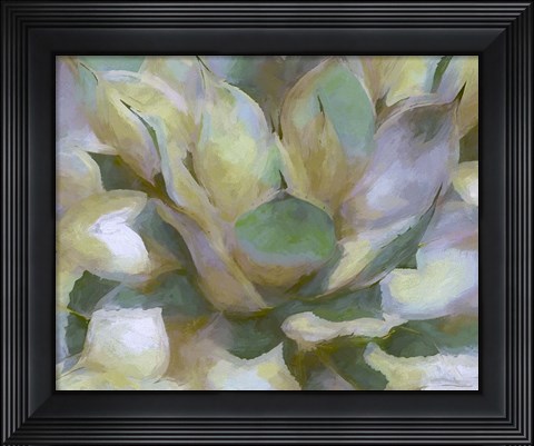 Framed Agave Forms II Print