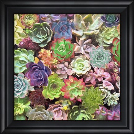 Framed Little Succulent Garden II Print