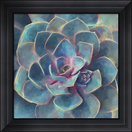 Framed Succulent Beauty I Print