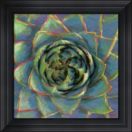 Framed Succulent Beauty II Print
