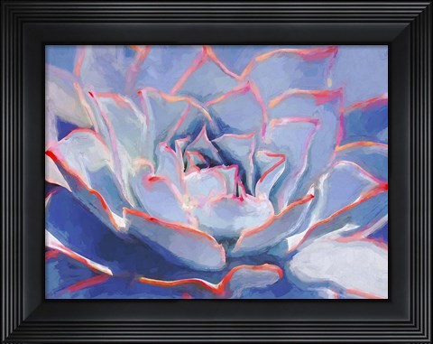 Framed Succulent Beauty III Print