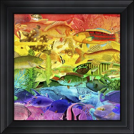 Framed Rainbow Fish Print