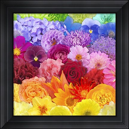Framed Rainbow Flowers Print