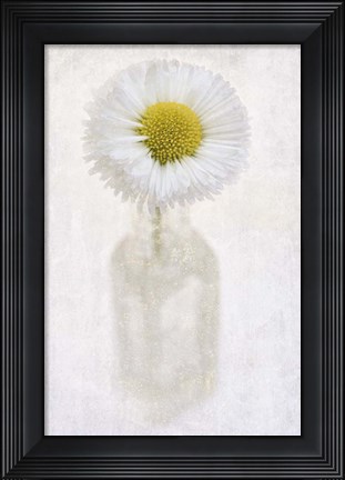 Framed Daisy in Little Bottle Print
