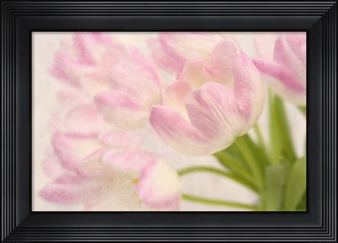 Framed Dreamy Tulips Print