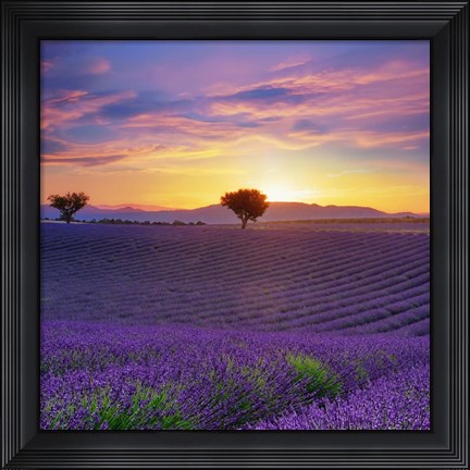 Framed Lavender Sky Sunset Print