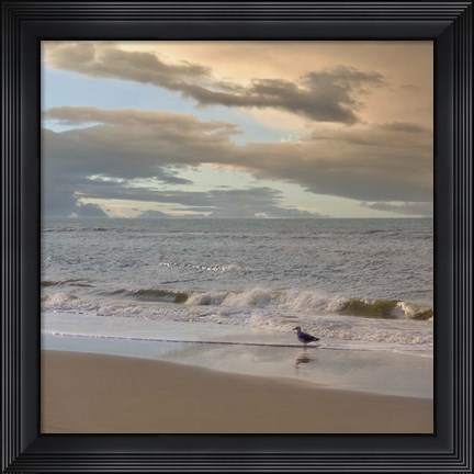 Framed Seagull on Beach Print