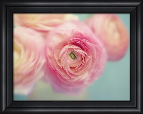 Framed Sweet Buttercups Print