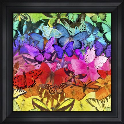 Framed Rainbow of Butterflies Print
