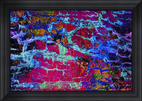 Framed Colorful Bark 4 Print